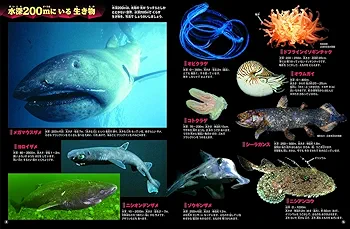 ＨＹ＞魚/Ｇａｋｋｅｎ（単行本） さかな (ふしぎ・びっくりこども図鑑 6) | 荒賀忠一 |本 | 通販